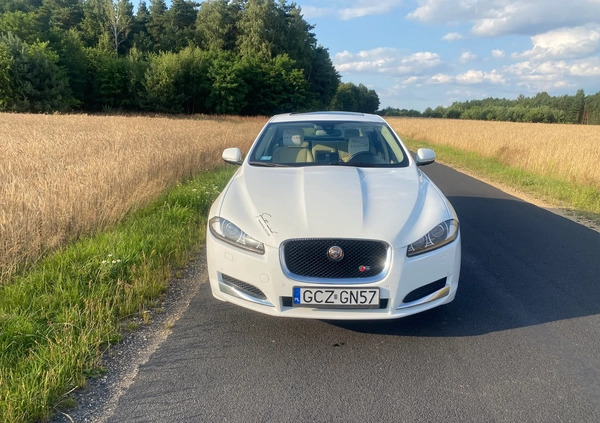 Jaguar XF cena 61500 przebieg: 62000, rok produkcji 2013 z Radomsko małe 137